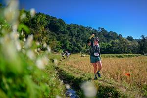 BIB: 
                            <button type="button" onclick="openModal(26572579)" class="btn btn-primary btn-sm float-right btn-popup" data-toggle="modal" data-target=".modal-high-quality">
                        <i class="fas fa-shopping-cart"></i> Add to Cart
                    </button>
                                            <button type="button" onclick="isThisMe(26572579, true)" class="btn btn-success btn-sm float-right btn-popup btn-isme hidden" data-toggle="tooltip" data-placement="bottom" title="นี่คือรูปของคุณใช่ไหม คลิกที่นี่เพื่อเอาเข้าอัลบั้ม">
                        <i class="fas fa-plus"></i> Add to album
                    </button>
                    <button type="button" onclick="isThisMe(26572579, false)" class="btn btn-warning btn-sm float-right btn-popup btn-isnotme hidden">
                        <i class="fas fa-ban"></i> Remove from album
                    </button>