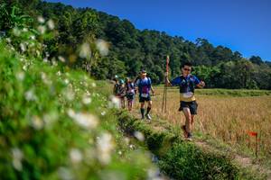 BIB: 
                            <button type="button" onclick="openModal(26582946)" class="btn btn-primary btn-sm float-right btn-popup" data-toggle="modal" data-target=".modal-high-quality">
                        <i class="fas fa-shopping-cart"></i> Add to Cart
                    </button>
                                            <button type="button" onclick="isThisMe(26582946, true)" class="btn btn-success btn-sm float-right btn-popup btn-isme hidden" data-toggle="tooltip" data-placement="bottom" title="นี่คือรูปของคุณใช่ไหม คลิกที่นี่เพื่อเอาเข้าอัลบั้ม">
                        <i class="fas fa-plus"></i> Add to album
                    </button>
                    <button type="button" onclick="isThisMe(26582946, false)" class="btn btn-warning btn-sm float-right btn-popup btn-isnotme hidden">
                        <i class="fas fa-ban"></i> Remove from album
                    </button>