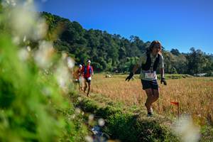 BIB: 
                            <button type="button" onclick="openModal(26572196)" class="btn btn-primary btn-sm float-right btn-popup" data-toggle="modal" data-target=".modal-high-quality">
                        <i class="fas fa-shopping-cart"></i> Add to Cart
                    </button>
                                            <button type="button" onclick="isThisMe(26572196, true)" class="btn btn-success btn-sm float-right btn-popup btn-isme hidden" data-toggle="tooltip" data-placement="bottom" title="นี่คือรูปของคุณใช่ไหม คลิกที่นี่เพื่อเอาเข้าอัลบั้ม">
                        <i class="fas fa-plus"></i> Add to album
                    </button>
                    <button type="button" onclick="isThisMe(26572196, false)" class="btn btn-warning btn-sm float-right btn-popup btn-isnotme hidden">
                        <i class="fas fa-ban"></i> Remove from album
                    </button>