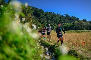 BIB: 
                            <button type="button" onclick="openModal(26574582)" class="btn btn-primary btn-sm float-right btn-popup" data-toggle="modal" data-target=".modal-high-quality">
                        <i class="fas fa-shopping-cart"></i> Add to Cart
                    </button>
                                            <button type="button" onclick="isThisMe(26574582, true)" class="btn btn-success btn-sm float-right btn-popup btn-isme hidden" data-toggle="tooltip" data-placement="bottom" title="นี่คือรูปของคุณใช่ไหม คลิกที่นี่เพื่อเอาเข้าอัลบั้ม">
                        <i class="fas fa-plus"></i> Add to album
                    </button>
                    <button type="button" onclick="isThisMe(26574582, false)" class="btn btn-warning btn-sm float-right btn-popup btn-isnotme hidden">
                        <i class="fas fa-ban"></i> Remove from album
                    </button>