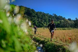 BIB: 
                            <button type="button" onclick="openModal(26572153)" class="btn btn-primary btn-sm float-right btn-popup" data-toggle="modal" data-target=".modal-high-quality">
                        <i class="fas fa-shopping-cart"></i> Add to Cart
                    </button>
                                            <button type="button" onclick="isThisMe(26572153, true)" class="btn btn-success btn-sm float-right btn-popup btn-isme hidden" data-toggle="tooltip" data-placement="bottom" title="นี่คือรูปของคุณใช่ไหม คลิกที่นี่เพื่อเอาเข้าอัลบั้ม">
                        <i class="fas fa-plus"></i> Add to album
                    </button>
                    <button type="button" onclick="isThisMe(26572153, false)" class="btn btn-warning btn-sm float-right btn-popup btn-isnotme hidden">
                        <i class="fas fa-ban"></i> Remove from album
                    </button>