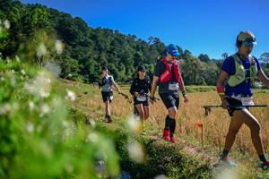 BIB: 
                            <button type="button" onclick="openModal(26579640)" class="btn btn-primary btn-sm float-right btn-popup" data-toggle="modal" data-target=".modal-high-quality">
                        <i class="fas fa-shopping-cart"></i> Add to Cart
                    </button>
                                            <button type="button" onclick="isThisMe(26579640, true)" class="btn btn-success btn-sm float-right btn-popup btn-isme hidden" data-toggle="tooltip" data-placement="bottom" title="นี่คือรูปของคุณใช่ไหม คลิกที่นี่เพื่อเอาเข้าอัลบั้ม">
                        <i class="fas fa-plus"></i> Add to album
                    </button>
                    <button type="button" onclick="isThisMe(26579640, false)" class="btn btn-warning btn-sm float-right btn-popup btn-isnotme hidden">
                        <i class="fas fa-ban"></i> Remove from album
                    </button>