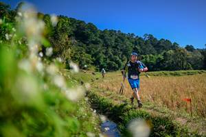 BIB: 
                            <button type="button" onclick="openModal(26575252)" class="btn btn-primary btn-sm float-right btn-popup" data-toggle="modal" data-target=".modal-high-quality">
                        <i class="fas fa-shopping-cart"></i> Add to Cart
                    </button>
                                            <button type="button" onclick="isThisMe(26575252, true)" class="btn btn-success btn-sm float-right btn-popup btn-isme hidden" data-toggle="tooltip" data-placement="bottom" title="นี่คือรูปของคุณใช่ไหม คลิกที่นี่เพื่อเอาเข้าอัลบั้ม">
                        <i class="fas fa-plus"></i> Add to album
                    </button>
                    <button type="button" onclick="isThisMe(26575252, false)" class="btn btn-warning btn-sm float-right btn-popup btn-isnotme hidden">
                        <i class="fas fa-ban"></i> Remove from album
                    </button>