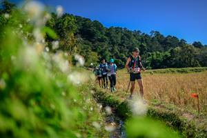 BIB: 
                            <button type="button" onclick="openModal(26574814)" class="btn btn-primary btn-sm float-right btn-popup" data-toggle="modal" data-target=".modal-high-quality">
                        <i class="fas fa-shopping-cart"></i> Add to Cart
                    </button>
                                            <button type="button" onclick="isThisMe(26574814, true)" class="btn btn-success btn-sm float-right btn-popup btn-isme hidden" data-toggle="tooltip" data-placement="bottom" title="นี่คือรูปของคุณใช่ไหม คลิกที่นี่เพื่อเอาเข้าอัลบั้ม">
                        <i class="fas fa-plus"></i> Add to album
                    </button>
                    <button type="button" onclick="isThisMe(26574814, false)" class="btn btn-warning btn-sm float-right btn-popup btn-isnotme hidden">
                        <i class="fas fa-ban"></i> Remove from album
                    </button>