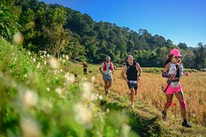 BIB: 
                            <button type="button" onclick="openModal(26570653)" class="btn btn-primary btn-sm float-right btn-popup" data-toggle="modal" data-target=".modal-high-quality">
                        <i class="fas fa-shopping-cart"></i> Add to Cart
                    </button>
                                            <button type="button" onclick="isThisMe(26570653, true)" class="btn btn-success btn-sm float-right btn-popup btn-isme hidden" data-toggle="tooltip" data-placement="bottom" title="นี่คือรูปของคุณใช่ไหม คลิกที่นี่เพื่อเอาเข้าอัลบั้ม">
                        <i class="fas fa-plus"></i> Add to album
                    </button>
                    <button type="button" onclick="isThisMe(26570653, false)" class="btn btn-warning btn-sm float-right btn-popup btn-isnotme hidden">
                        <i class="fas fa-ban"></i> Remove from album
                    </button>