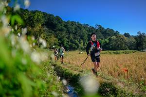 BIB: 
                            <button type="button" onclick="openModal(26573848)" class="btn btn-primary btn-sm float-right btn-popup" data-toggle="modal" data-target=".modal-high-quality">
                        <i class="fas fa-shopping-cart"></i> Add to Cart
                    </button>
                                            <button type="button" onclick="isThisMe(26573848, true)" class="btn btn-success btn-sm float-right btn-popup btn-isme hidden" data-toggle="tooltip" data-placement="bottom" title="นี่คือรูปของคุณใช่ไหม คลิกที่นี่เพื่อเอาเข้าอัลบั้ม">
                        <i class="fas fa-plus"></i> Add to album
                    </button>
                    <button type="button" onclick="isThisMe(26573848, false)" class="btn btn-warning btn-sm float-right btn-popup btn-isnotme hidden">
                        <i class="fas fa-ban"></i> Remove from album
                    </button>