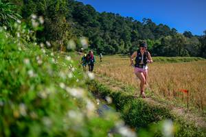 BIB: 
                            <button type="button" onclick="openModal(26581760)" class="btn btn-primary btn-sm float-right btn-popup" data-toggle="modal" data-target=".modal-high-quality">
                        <i class="fas fa-shopping-cart"></i> Add to Cart
                    </button>
                                            <button type="button" onclick="isThisMe(26581760, true)" class="btn btn-success btn-sm float-right btn-popup btn-isme hidden" data-toggle="tooltip" data-placement="bottom" title="นี่คือรูปของคุณใช่ไหม คลิกที่นี่เพื่อเอาเข้าอัลบั้ม">
                        <i class="fas fa-plus"></i> Add to album
                    </button>
                    <button type="button" onclick="isThisMe(26581760, false)" class="btn btn-warning btn-sm float-right btn-popup btn-isnotme hidden">
                        <i class="fas fa-ban"></i> Remove from album
                    </button>