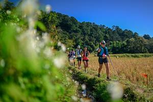 BIB: 
                            <button type="button" onclick="openModal(26572942)" class="btn btn-primary btn-sm float-right btn-popup" data-toggle="modal" data-target=".modal-high-quality">
                        <i class="fas fa-shopping-cart"></i> Add to Cart
                    </button>
                                            <button type="button" onclick="isThisMe(26572942, true)" class="btn btn-success btn-sm float-right btn-popup btn-isme hidden" data-toggle="tooltip" data-placement="bottom" title="นี่คือรูปของคุณใช่ไหม คลิกที่นี่เพื่อเอาเข้าอัลบั้ม">
                        <i class="fas fa-plus"></i> Add to album
                    </button>
                    <button type="button" onclick="isThisMe(26572942, false)" class="btn btn-warning btn-sm float-right btn-popup btn-isnotme hidden">
                        <i class="fas fa-ban"></i> Remove from album
                    </button>