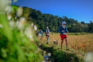 BIB: 
                            <button type="button" onclick="openModal(26572117)" class="btn btn-primary btn-sm float-right btn-popup" data-toggle="modal" data-target=".modal-high-quality">
                        <i class="fas fa-shopping-cart"></i> Add to Cart
                    </button>
                                            <button type="button" onclick="isThisMe(26572117, true)" class="btn btn-success btn-sm float-right btn-popup btn-isme hidden" data-toggle="tooltip" data-placement="bottom" title="นี่คือรูปของคุณใช่ไหม คลิกที่นี่เพื่อเอาเข้าอัลบั้ม">
                        <i class="fas fa-plus"></i> Add to album
                    </button>
                    <button type="button" onclick="isThisMe(26572117, false)" class="btn btn-warning btn-sm float-right btn-popup btn-isnotme hidden">
                        <i class="fas fa-ban"></i> Remove from album
                    </button>