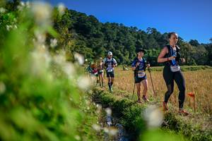 BIB: 
                            <button type="button" onclick="openModal(26574343)" class="btn btn-primary btn-sm float-right btn-popup" data-toggle="modal" data-target=".modal-high-quality">
                        <i class="fas fa-shopping-cart"></i> Add to Cart
                    </button>
                                            <button type="button" onclick="isThisMe(26574343, true)" class="btn btn-success btn-sm float-right btn-popup btn-isme hidden" data-toggle="tooltip" data-placement="bottom" title="นี่คือรูปของคุณใช่ไหม คลิกที่นี่เพื่อเอาเข้าอัลบั้ม">
                        <i class="fas fa-plus"></i> Add to album
                    </button>
                    <button type="button" onclick="isThisMe(26574343, false)" class="btn btn-warning btn-sm float-right btn-popup btn-isnotme hidden">
                        <i class="fas fa-ban"></i> Remove from album
                    </button>