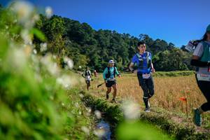 BIB: 
                            <button type="button" onclick="openModal(26574852)" class="btn btn-primary btn-sm float-right btn-popup" data-toggle="modal" data-target=".modal-high-quality">
                        <i class="fas fa-shopping-cart"></i> Add to Cart
                    </button>
                                            <button type="button" onclick="isThisMe(26574852, true)" class="btn btn-success btn-sm float-right btn-popup btn-isme hidden" data-toggle="tooltip" data-placement="bottom" title="นี่คือรูปของคุณใช่ไหม คลิกที่นี่เพื่อเอาเข้าอัลบั้ม">
                        <i class="fas fa-plus"></i> Add to album
                    </button>
                    <button type="button" onclick="isThisMe(26574852, false)" class="btn btn-warning btn-sm float-right btn-popup btn-isnotme hidden">
                        <i class="fas fa-ban"></i> Remove from album
                    </button>