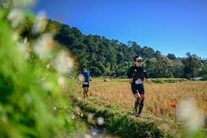 BIB: 
                            <button type="button" onclick="openModal(26572033)" class="btn btn-primary btn-sm float-right btn-popup" data-toggle="modal" data-target=".modal-high-quality">
                        <i class="fas fa-shopping-cart"></i> Add to Cart
                    </button>
                                            <button type="button" onclick="isThisMe(26572033, true)" class="btn btn-success btn-sm float-right btn-popup btn-isme hidden" data-toggle="tooltip" data-placement="bottom" title="นี่คือรูปของคุณใช่ไหม คลิกที่นี่เพื่อเอาเข้าอัลบั้ม">
                        <i class="fas fa-plus"></i> Add to album
                    </button>
                    <button type="button" onclick="isThisMe(26572033, false)" class="btn btn-warning btn-sm float-right btn-popup btn-isnotme hidden">
                        <i class="fas fa-ban"></i> Remove from album
                    </button>