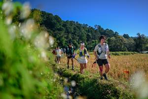 BIB: 
                            <button type="button" onclick="openModal(26572073)" class="btn btn-primary btn-sm float-right btn-popup" data-toggle="modal" data-target=".modal-high-quality">
                        <i class="fas fa-shopping-cart"></i> Add to Cart
                    </button>
                                            <button type="button" onclick="isThisMe(26572073, true)" class="btn btn-success btn-sm float-right btn-popup btn-isme hidden" data-toggle="tooltip" data-placement="bottom" title="นี่คือรูปของคุณใช่ไหม คลิกที่นี่เพื่อเอาเข้าอัลบั้ม">
                        <i class="fas fa-plus"></i> Add to album
                    </button>
                    <button type="button" onclick="isThisMe(26572073, false)" class="btn btn-warning btn-sm float-right btn-popup btn-isnotme hidden">
                        <i class="fas fa-ban"></i> Remove from album
                    </button>