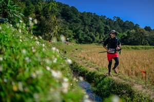 BIB: 
                            <button type="button" onclick="openModal(26581815)" class="btn btn-primary btn-sm float-right btn-popup" data-toggle="modal" data-target=".modal-high-quality">
                        <i class="fas fa-shopping-cart"></i> Add to Cart
                    </button>
                                            <button type="button" onclick="isThisMe(26581815, true)" class="btn btn-success btn-sm float-right btn-popup btn-isme hidden" data-toggle="tooltip" data-placement="bottom" title="นี่คือรูปของคุณใช่ไหม คลิกที่นี่เพื่อเอาเข้าอัลบั้ม">
                        <i class="fas fa-plus"></i> Add to album
                    </button>
                    <button type="button" onclick="isThisMe(26581815, false)" class="btn btn-warning btn-sm float-right btn-popup btn-isnotme hidden">
                        <i class="fas fa-ban"></i> Remove from album
                    </button>