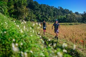 BIB: 
                            <button type="button" onclick="openModal(26571276)" class="btn btn-primary btn-sm float-right btn-popup" data-toggle="modal" data-target=".modal-high-quality">
                        <i class="fas fa-shopping-cart"></i> Add to Cart
                    </button>
                                            <button type="button" onclick="isThisMe(26571276, true)" class="btn btn-success btn-sm float-right btn-popup btn-isme hidden" data-toggle="tooltip" data-placement="bottom" title="นี่คือรูปของคุณใช่ไหม คลิกที่นี่เพื่อเอาเข้าอัลบั้ม">
                        <i class="fas fa-plus"></i> Add to album
                    </button>
                    <button type="button" onclick="isThisMe(26571276, false)" class="btn btn-warning btn-sm float-right btn-popup btn-isnotme hidden">
                        <i class="fas fa-ban"></i> Remove from album
                    </button>