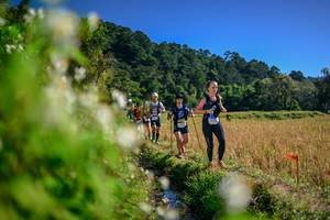 BIB: 
                            <button type="button" onclick="openModal(26574331)" class="btn btn-primary btn-sm float-right btn-popup" data-toggle="modal" data-target=".modal-high-quality">
                        <i class="fas fa-shopping-cart"></i> Add to Cart
                    </button>
                                            <button type="button" onclick="isThisMe(26574331, true)" class="btn btn-success btn-sm float-right btn-popup btn-isme hidden" data-toggle="tooltip" data-placement="bottom" title="นี่คือรูปของคุณใช่ไหม คลิกที่นี่เพื่อเอาเข้าอัลบั้ม">
                        <i class="fas fa-plus"></i> Add to album
                    </button>
                    <button type="button" onclick="isThisMe(26574331, false)" class="btn btn-warning btn-sm float-right btn-popup btn-isnotme hidden">
                        <i class="fas fa-ban"></i> Remove from album
                    </button>