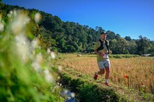 BIB: 
                            <button type="button" onclick="openModal(26571696)" class="btn btn-primary btn-sm float-right btn-popup" data-toggle="modal" data-target=".modal-high-quality">
                        <i class="fas fa-shopping-cart"></i> Add to Cart
                    </button>
                                            <button type="button" onclick="isThisMe(26571696, true)" class="btn btn-success btn-sm float-right btn-popup btn-isme hidden" data-toggle="tooltip" data-placement="bottom" title="นี่คือรูปของคุณใช่ไหม คลิกที่นี่เพื่อเอาเข้าอัลบั้ม">
                        <i class="fas fa-plus"></i> Add to album
                    </button>
                    <button type="button" onclick="isThisMe(26571696, false)" class="btn btn-warning btn-sm float-right btn-popup btn-isnotme hidden">
                        <i class="fas fa-ban"></i> Remove from album
                    </button>