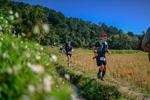 BIB: 
                            <button type="button" onclick="openModal(26582918)" class="btn btn-primary btn-sm float-right btn-popup" data-toggle="modal" data-target=".modal-high-quality">
                        <i class="fas fa-shopping-cart"></i> Add to Cart
                    </button>
                                            <button type="button" onclick="isThisMe(26582918, true)" class="btn btn-success btn-sm float-right btn-popup btn-isme hidden" data-toggle="tooltip" data-placement="bottom" title="นี่คือรูปของคุณใช่ไหม คลิกที่นี่เพื่อเอาเข้าอัลบั้ม">
                        <i class="fas fa-plus"></i> Add to album
                    </button>
                    <button type="button" onclick="isThisMe(26582918, false)" class="btn btn-warning btn-sm float-right btn-popup btn-isnotme hidden">
                        <i class="fas fa-ban"></i> Remove from album
                    </button>