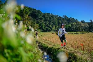 BIB: 
                            <button type="button" onclick="openModal(26572465)" class="btn btn-primary btn-sm float-right btn-popup" data-toggle="modal" data-target=".modal-high-quality">
                        <i class="fas fa-shopping-cart"></i> Add to Cart
                    </button>
                                            <button type="button" onclick="isThisMe(26572465, true)" class="btn btn-success btn-sm float-right btn-popup btn-isme hidden" data-toggle="tooltip" data-placement="bottom" title="นี่คือรูปของคุณใช่ไหม คลิกที่นี่เพื่อเอาเข้าอัลบั้ม">
                        <i class="fas fa-plus"></i> Add to album
                    </button>
                    <button type="button" onclick="isThisMe(26572465, false)" class="btn btn-warning btn-sm float-right btn-popup btn-isnotme hidden">
                        <i class="fas fa-ban"></i> Remove from album
                    </button>