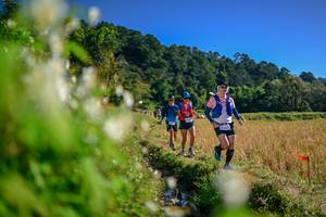 BIB: 
                            <button type="button" onclick="openModal(26572983)" class="btn btn-primary btn-sm float-right btn-popup" data-toggle="modal" data-target=".modal-high-quality">
                        <i class="fas fa-shopping-cart"></i> Add to Cart
                    </button>
                                            <button type="button" onclick="isThisMe(26572983, true)" class="btn btn-success btn-sm float-right btn-popup btn-isme hidden" data-toggle="tooltip" data-placement="bottom" title="นี่คือรูปของคุณใช่ไหม คลิกที่นี่เพื่อเอาเข้าอัลบั้ม">
                        <i class="fas fa-plus"></i> Add to album
                    </button>
                    <button type="button" onclick="isThisMe(26572983, false)" class="btn btn-warning btn-sm float-right btn-popup btn-isnotme hidden">
                        <i class="fas fa-ban"></i> Remove from album
                    </button>