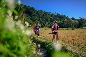 BIB: 
                            <button type="button" onclick="openModal(26574178)" class="btn btn-primary btn-sm float-right btn-popup" data-toggle="modal" data-target=".modal-high-quality">
                        <i class="fas fa-shopping-cart"></i> Add to Cart
                    </button>
                                            <button type="button" onclick="isThisMe(26574178, true)" class="btn btn-success btn-sm float-right btn-popup btn-isme hidden" data-toggle="tooltip" data-placement="bottom" title="นี่คือรูปของคุณใช่ไหม คลิกที่นี่เพื่อเอาเข้าอัลบั้ม">
                        <i class="fas fa-plus"></i> Add to album
                    </button>
                    <button type="button" onclick="isThisMe(26574178, false)" class="btn btn-warning btn-sm float-right btn-popup btn-isnotme hidden">
                        <i class="fas fa-ban"></i> Remove from album
                    </button>