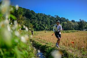 BIB: 
                            <button type="button" onclick="openModal(26573606)" class="btn btn-primary btn-sm float-right btn-popup" data-toggle="modal" data-target=".modal-high-quality">
                        <i class="fas fa-shopping-cart"></i> Add to Cart
                    </button>
                                            <button type="button" onclick="isThisMe(26573606, true)" class="btn btn-success btn-sm float-right btn-popup btn-isme hidden" data-toggle="tooltip" data-placement="bottom" title="นี่คือรูปของคุณใช่ไหม คลิกที่นี่เพื่อเอาเข้าอัลบั้ม">
                        <i class="fas fa-plus"></i> Add to album
                    </button>
                    <button type="button" onclick="isThisMe(26573606, false)" class="btn btn-warning btn-sm float-right btn-popup btn-isnotme hidden">
                        <i class="fas fa-ban"></i> Remove from album
                    </button>