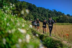 BIB: 
                            <button type="button" onclick="openModal(26583134)" class="btn btn-primary btn-sm float-right btn-popup" data-toggle="modal" data-target=".modal-high-quality">
                        <i class="fas fa-shopping-cart"></i> Add to Cart
                    </button>
                                            <button type="button" onclick="isThisMe(26583134, true)" class="btn btn-success btn-sm float-right btn-popup btn-isme hidden" data-toggle="tooltip" data-placement="bottom" title="นี่คือรูปของคุณใช่ไหม คลิกที่นี่เพื่อเอาเข้าอัลบั้ม">
                        <i class="fas fa-plus"></i> Add to album
                    </button>
                    <button type="button" onclick="isThisMe(26583134, false)" class="btn btn-warning btn-sm float-right btn-popup btn-isnotme hidden">
                        <i class="fas fa-ban"></i> Remove from album
                    </button>