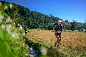 BIB: 
                            <button type="button" onclick="openModal(26571728)" class="btn btn-primary btn-sm float-right btn-popup" data-toggle="modal" data-target=".modal-high-quality">
                        <i class="fas fa-shopping-cart"></i> Add to Cart
                    </button>
                                            <button type="button" onclick="isThisMe(26571728, true)" class="btn btn-success btn-sm float-right btn-popup btn-isme hidden" data-toggle="tooltip" data-placement="bottom" title="นี่คือรูปของคุณใช่ไหม คลิกที่นี่เพื่อเอาเข้าอัลบั้ม">
                        <i class="fas fa-plus"></i> Add to album
                    </button>
                    <button type="button" onclick="isThisMe(26571728, false)" class="btn btn-warning btn-sm float-right btn-popup btn-isnotme hidden">
                        <i class="fas fa-ban"></i> Remove from album
                    </button>