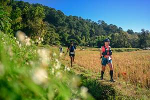 BIB: 
                            <button type="button" onclick="openModal(26570779)" class="btn btn-primary btn-sm float-right btn-popup" data-toggle="modal" data-target=".modal-high-quality">
                        <i class="fas fa-shopping-cart"></i> Add to Cart
                    </button>
                                            <button type="button" onclick="isThisMe(26570779, true)" class="btn btn-success btn-sm float-right btn-popup btn-isme hidden" data-toggle="tooltip" data-placement="bottom" title="นี่คือรูปของคุณใช่ไหม คลิกที่นี่เพื่อเอาเข้าอัลบั้ม">
                        <i class="fas fa-plus"></i> Add to album
                    </button>
                    <button type="button" onclick="isThisMe(26570779, false)" class="btn btn-warning btn-sm float-right btn-popup btn-isnotme hidden">
                        <i class="fas fa-ban"></i> Remove from album
                    </button>