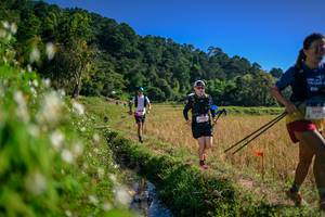 BIB: 
                            <button type="button" onclick="openModal(26575891)" class="btn btn-primary btn-sm float-right btn-popup" data-toggle="modal" data-target=".modal-high-quality">
                        <i class="fas fa-shopping-cart"></i> Add to Cart
                    </button>
                                            <button type="button" onclick="isThisMe(26575891, true)" class="btn btn-success btn-sm float-right btn-popup btn-isme hidden" data-toggle="tooltip" data-placement="bottom" title="นี่คือรูปของคุณใช่ไหม คลิกที่นี่เพื่อเอาเข้าอัลบั้ม">
                        <i class="fas fa-plus"></i> Add to album
                    </button>
                    <button type="button" onclick="isThisMe(26575891, false)" class="btn btn-warning btn-sm float-right btn-popup btn-isnotme hidden">
                        <i class="fas fa-ban"></i> Remove from album
                    </button>