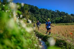 BIB: 
                            <button type="button" onclick="openModal(26574776)" class="btn btn-primary btn-sm float-right btn-popup" data-toggle="modal" data-target=".modal-high-quality">
                        <i class="fas fa-shopping-cart"></i> Add to Cart
                    </button>
                                            <button type="button" onclick="isThisMe(26574776, true)" class="btn btn-success btn-sm float-right btn-popup btn-isme hidden" data-toggle="tooltip" data-placement="bottom" title="นี่คือรูปของคุณใช่ไหม คลิกที่นี่เพื่อเอาเข้าอัลบั้ม">
                        <i class="fas fa-plus"></i> Add to album
                    </button>
                    <button type="button" onclick="isThisMe(26574776, false)" class="btn btn-warning btn-sm float-right btn-popup btn-isnotme hidden">
                        <i class="fas fa-ban"></i> Remove from album
                    </button>