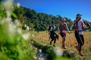 BIB: 
                            <button type="button" onclick="openModal(26573572)" class="btn btn-primary btn-sm float-right btn-popup" data-toggle="modal" data-target=".modal-high-quality">
                        <i class="fas fa-shopping-cart"></i> Add to Cart
                    </button>
                                            <button type="button" onclick="isThisMe(26573572, true)" class="btn btn-success btn-sm float-right btn-popup btn-isme hidden" data-toggle="tooltip" data-placement="bottom" title="นี่คือรูปของคุณใช่ไหม คลิกที่นี่เพื่อเอาเข้าอัลบั้ม">
                        <i class="fas fa-plus"></i> Add to album
                    </button>
                    <button type="button" onclick="isThisMe(26573572, false)" class="btn btn-warning btn-sm float-right btn-popup btn-isnotme hidden">
                        <i class="fas fa-ban"></i> Remove from album
                    </button>