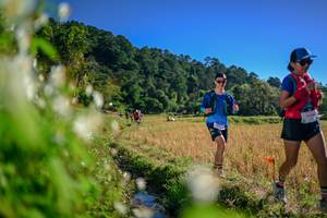 BIB: 
                            <button type="button" onclick="openModal(26573005)" class="btn btn-primary btn-sm float-right btn-popup" data-toggle="modal" data-target=".modal-high-quality">
                        <i class="fas fa-shopping-cart"></i> Add to Cart
                    </button>
                                            <button type="button" onclick="isThisMe(26573005, true)" class="btn btn-success btn-sm float-right btn-popup btn-isme hidden" data-toggle="tooltip" data-placement="bottom" title="นี่คือรูปของคุณใช่ไหม คลิกที่นี่เพื่อเอาเข้าอัลบั้ม">
                        <i class="fas fa-plus"></i> Add to album
                    </button>
                    <button type="button" onclick="isThisMe(26573005, false)" class="btn btn-warning btn-sm float-right btn-popup btn-isnotme hidden">
                        <i class="fas fa-ban"></i> Remove from album
                    </button>