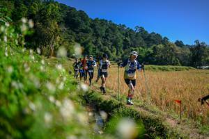 BIB: 
                            <button type="button" onclick="openModal(26576303)" class="btn btn-primary btn-sm float-right btn-popup" data-toggle="modal" data-target=".modal-high-quality">
                        <i class="fas fa-shopping-cart"></i> Add to Cart
                    </button>
                                            <button type="button" onclick="isThisMe(26576303, true)" class="btn btn-success btn-sm float-right btn-popup btn-isme hidden" data-toggle="tooltip" data-placement="bottom" title="นี่คือรูปของคุณใช่ไหม คลิกที่นี่เพื่อเอาเข้าอัลบั้ม">
                        <i class="fas fa-plus"></i> Add to album
                    </button>
                    <button type="button" onclick="isThisMe(26576303, false)" class="btn btn-warning btn-sm float-right btn-popup btn-isnotme hidden">
                        <i class="fas fa-ban"></i> Remove from album
                    </button>