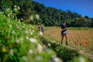 BIB: 
                            <button type="button" onclick="openModal(26582445)" class="btn btn-primary btn-sm float-right btn-popup" data-toggle="modal" data-target=".modal-high-quality">
                        <i class="fas fa-shopping-cart"></i> Add to Cart
                    </button>
                                            <button type="button" onclick="isThisMe(26582445, true)" class="btn btn-success btn-sm float-right btn-popup btn-isme hidden" data-toggle="tooltip" data-placement="bottom" title="นี่คือรูปของคุณใช่ไหม คลิกที่นี่เพื่อเอาเข้าอัลบั้ม">
                        <i class="fas fa-plus"></i> Add to album
                    </button>
                    <button type="button" onclick="isThisMe(26582445, false)" class="btn btn-warning btn-sm float-right btn-popup btn-isnotme hidden">
                        <i class="fas fa-ban"></i> Remove from album
                    </button>