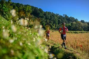 BIB: 
                            <button type="button" onclick="openModal(26571133)" class="btn btn-primary btn-sm float-right btn-popup" data-toggle="modal" data-target=".modal-high-quality">
                        <i class="fas fa-shopping-cart"></i> Add to Cart
                    </button>
                                            <button type="button" onclick="isThisMe(26571133, true)" class="btn btn-success btn-sm float-right btn-popup btn-isme hidden" data-toggle="tooltip" data-placement="bottom" title="นี่คือรูปของคุณใช่ไหม คลิกที่นี่เพื่อเอาเข้าอัลบั้ม">
                        <i class="fas fa-plus"></i> Add to album
                    </button>
                    <button type="button" onclick="isThisMe(26571133, false)" class="btn btn-warning btn-sm float-right btn-popup btn-isnotme hidden">
                        <i class="fas fa-ban"></i> Remove from album
                    </button>