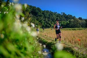 BIB: 
                            <button type="button" onclick="openModal(26574417)" class="btn btn-primary btn-sm float-right btn-popup" data-toggle="modal" data-target=".modal-high-quality">
                        <i class="fas fa-shopping-cart"></i> Add to Cart
                    </button>
                                            <button type="button" onclick="isThisMe(26574417, true)" class="btn btn-success btn-sm float-right btn-popup btn-isme hidden" data-toggle="tooltip" data-placement="bottom" title="นี่คือรูปของคุณใช่ไหม คลิกที่นี่เพื่อเอาเข้าอัลบั้ม">
                        <i class="fas fa-plus"></i> Add to album
                    </button>
                    <button type="button" onclick="isThisMe(26574417, false)" class="btn btn-warning btn-sm float-right btn-popup btn-isnotme hidden">
                        <i class="fas fa-ban"></i> Remove from album
                    </button>