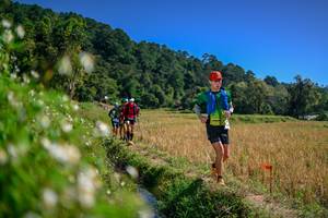 BIB: 
                            <button type="button" onclick="openModal(26582745)" class="btn btn-primary btn-sm float-right btn-popup" data-toggle="modal" data-target=".modal-high-quality">
                        <i class="fas fa-shopping-cart"></i> Add to Cart
                    </button>
                                            <button type="button" onclick="isThisMe(26582745, true)" class="btn btn-success btn-sm float-right btn-popup btn-isme hidden" data-toggle="tooltip" data-placement="bottom" title="นี่คือรูปของคุณใช่ไหม คลิกที่นี่เพื่อเอาเข้าอัลบั้ม">
                        <i class="fas fa-plus"></i> Add to album
                    </button>
                    <button type="button" onclick="isThisMe(26582745, false)" class="btn btn-warning btn-sm float-right btn-popup btn-isnotme hidden">
                        <i class="fas fa-ban"></i> Remove from album
                    </button>