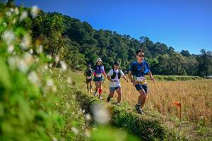 BIB: 
                            <button type="button" onclick="openModal(26571759)" class="btn btn-primary btn-sm float-right btn-popup" data-toggle="modal" data-target=".modal-high-quality">
                        <i class="fas fa-shopping-cart"></i> Add to Cart
                    </button>
                                            <button type="button" onclick="isThisMe(26571759, true)" class="btn btn-success btn-sm float-right btn-popup btn-isme hidden" data-toggle="tooltip" data-placement="bottom" title="นี่คือรูปของคุณใช่ไหม คลิกที่นี่เพื่อเอาเข้าอัลบั้ม">
                        <i class="fas fa-plus"></i> Add to album
                    </button>
                    <button type="button" onclick="isThisMe(26571759, false)" class="btn btn-warning btn-sm float-right btn-popup btn-isnotme hidden">
                        <i class="fas fa-ban"></i> Remove from album
                    </button>