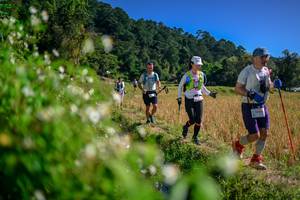 BIB: 
                            <button type="button" onclick="openModal(26581605)" class="btn btn-primary btn-sm float-right btn-popup" data-toggle="modal" data-target=".modal-high-quality">
                        <i class="fas fa-shopping-cart"></i> Add to Cart
                    </button>
                                            <button type="button" onclick="isThisMe(26581605, true)" class="btn btn-success btn-sm float-right btn-popup btn-isme hidden" data-toggle="tooltip" data-placement="bottom" title="นี่คือรูปของคุณใช่ไหม คลิกที่นี่เพื่อเอาเข้าอัลบั้ม">
                        <i class="fas fa-plus"></i> Add to album
                    </button>
                    <button type="button" onclick="isThisMe(26581605, false)" class="btn btn-warning btn-sm float-right btn-popup btn-isnotme hidden">
                        <i class="fas fa-ban"></i> Remove from album
                    </button>