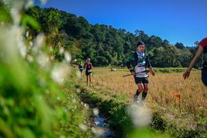 BIB: 
                            <button type="button" onclick="openModal(26572561)" class="btn btn-primary btn-sm float-right btn-popup" data-toggle="modal" data-target=".modal-high-quality">
                        <i class="fas fa-shopping-cart"></i> Add to Cart
                    </button>
                                            <button type="button" onclick="isThisMe(26572561, true)" class="btn btn-success btn-sm float-right btn-popup btn-isme hidden" data-toggle="tooltip" data-placement="bottom" title="นี่คือรูปของคุณใช่ไหม คลิกที่นี่เพื่อเอาเข้าอัลบั้ม">
                        <i class="fas fa-plus"></i> Add to album
                    </button>
                    <button type="button" onclick="isThisMe(26572561, false)" class="btn btn-warning btn-sm float-right btn-popup btn-isnotme hidden">
                        <i class="fas fa-ban"></i> Remove from album
                    </button>