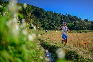 BIB: 
                            <button type="button" onclick="openModal(26572877)" class="btn btn-primary btn-sm float-right btn-popup" data-toggle="modal" data-target=".modal-high-quality">
                        <i class="fas fa-shopping-cart"></i> Add to Cart
                    </button>
                                            <button type="button" onclick="isThisMe(26572877, true)" class="btn btn-success btn-sm float-right btn-popup btn-isme hidden" data-toggle="tooltip" data-placement="bottom" title="นี่คือรูปของคุณใช่ไหม คลิกที่นี่เพื่อเอาเข้าอัลบั้ม">
                        <i class="fas fa-plus"></i> Add to album
                    </button>
                    <button type="button" onclick="isThisMe(26572877, false)" class="btn btn-warning btn-sm float-right btn-popup btn-isnotme hidden">
                        <i class="fas fa-ban"></i> Remove from album
                    </button>