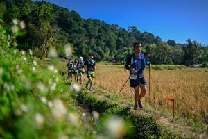 BIB: 
                            <button type="button" onclick="openModal(26576294)" class="btn btn-primary btn-sm float-right btn-popup" data-toggle="modal" data-target=".modal-high-quality">
                        <i class="fas fa-shopping-cart"></i> Add to Cart
                    </button>
                                            <button type="button" onclick="isThisMe(26576294, true)" class="btn btn-success btn-sm float-right btn-popup btn-isme hidden" data-toggle="tooltip" data-placement="bottom" title="นี่คือรูปของคุณใช่ไหม คลิกที่นี่เพื่อเอาเข้าอัลบั้ม">
                        <i class="fas fa-plus"></i> Add to album
                    </button>
                    <button type="button" onclick="isThisMe(26576294, false)" class="btn btn-warning btn-sm float-right btn-popup btn-isnotme hidden">
                        <i class="fas fa-ban"></i> Remove from album
                    </button>