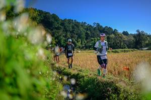 BIB: 
                            <button type="button" onclick="openModal(26572051)" class="btn btn-primary btn-sm float-right btn-popup" data-toggle="modal" data-target=".modal-high-quality">
                        <i class="fas fa-shopping-cart"></i> Add to Cart
                    </button>
                                            <button type="button" onclick="isThisMe(26572051, true)" class="btn btn-success btn-sm float-right btn-popup btn-isme hidden" data-toggle="tooltip" data-placement="bottom" title="นี่คือรูปของคุณใช่ไหม คลิกที่นี่เพื่อเอาเข้าอัลบั้ม">
                        <i class="fas fa-plus"></i> Add to album
                    </button>
                    <button type="button" onclick="isThisMe(26572051, false)" class="btn btn-warning btn-sm float-right btn-popup btn-isnotme hidden">
                        <i class="fas fa-ban"></i> Remove from album
                    </button>