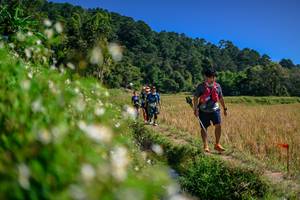 BIB: 
                            <button type="button" onclick="openModal(26583020)" class="btn btn-primary btn-sm float-right btn-popup" data-toggle="modal" data-target=".modal-high-quality">
                        <i class="fas fa-shopping-cart"></i> Add to Cart
                    </button>
                                            <button type="button" onclick="isThisMe(26583020, true)" class="btn btn-success btn-sm float-right btn-popup btn-isme hidden" data-toggle="tooltip" data-placement="bottom" title="นี่คือรูปของคุณใช่ไหม คลิกที่นี่เพื่อเอาเข้าอัลบั้ม">
                        <i class="fas fa-plus"></i> Add to album
                    </button>
                    <button type="button" onclick="isThisMe(26583020, false)" class="btn btn-warning btn-sm float-right btn-popup btn-isnotme hidden">
                        <i class="fas fa-ban"></i> Remove from album
                    </button>