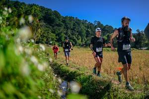 BIB: 
                            <button type="button" onclick="openModal(26575671)" class="btn btn-primary btn-sm float-right btn-popup" data-toggle="modal" data-target=".modal-high-quality">
                        <i class="fas fa-shopping-cart"></i> Add to Cart
                    </button>
                                            <button type="button" onclick="isThisMe(26575671, true)" class="btn btn-success btn-sm float-right btn-popup btn-isme hidden" data-toggle="tooltip" data-placement="bottom" title="นี่คือรูปของคุณใช่ไหม คลิกที่นี่เพื่อเอาเข้าอัลบั้ม">
                        <i class="fas fa-plus"></i> Add to album
                    </button>
                    <button type="button" onclick="isThisMe(26575671, false)" class="btn btn-warning btn-sm float-right btn-popup btn-isnotme hidden">
                        <i class="fas fa-ban"></i> Remove from album
                    </button>