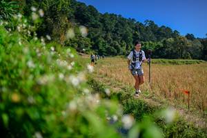 BIB: 
                            <button type="button" onclick="openModal(26581631)" class="btn btn-primary btn-sm float-right btn-popup" data-toggle="modal" data-target=".modal-high-quality">
                        <i class="fas fa-shopping-cart"></i> Add to Cart
                    </button>
                                            <button type="button" onclick="isThisMe(26581631, true)" class="btn btn-success btn-sm float-right btn-popup btn-isme hidden" data-toggle="tooltip" data-placement="bottom" title="นี่คือรูปของคุณใช่ไหม คลิกที่นี่เพื่อเอาเข้าอัลบั้ม">
                        <i class="fas fa-plus"></i> Add to album
                    </button>
                    <button type="button" onclick="isThisMe(26581631, false)" class="btn btn-warning btn-sm float-right btn-popup btn-isnotme hidden">
                        <i class="fas fa-ban"></i> Remove from album
                    </button>