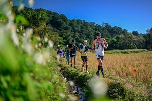 BIB: 
                            <button type="button" onclick="openModal(26573321)" class="btn btn-primary btn-sm float-right btn-popup" data-toggle="modal" data-target=".modal-high-quality">
                        <i class="fas fa-shopping-cart"></i> Add to Cart
                    </button>
                                            <button type="button" onclick="isThisMe(26573321, true)" class="btn btn-success btn-sm float-right btn-popup btn-isme hidden" data-toggle="tooltip" data-placement="bottom" title="นี่คือรูปของคุณใช่ไหม คลิกที่นี่เพื่อเอาเข้าอัลบั้ม">
                        <i class="fas fa-plus"></i> Add to album
                    </button>
                    <button type="button" onclick="isThisMe(26573321, false)" class="btn btn-warning btn-sm float-right btn-popup btn-isnotme hidden">
                        <i class="fas fa-ban"></i> Remove from album
                    </button>