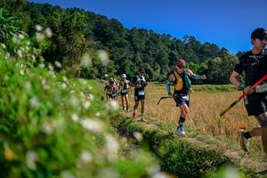 BIB: 
                            <button type="button" onclick="openModal(26582064)" class="btn btn-primary btn-sm float-right btn-popup" data-toggle="modal" data-target=".modal-high-quality">
                        <i class="fas fa-shopping-cart"></i> Add to Cart
                    </button>
                                            <button type="button" onclick="isThisMe(26582064, true)" class="btn btn-success btn-sm float-right btn-popup btn-isme hidden" data-toggle="tooltip" data-placement="bottom" title="นี่คือรูปของคุณใช่ไหม คลิกที่นี่เพื่อเอาเข้าอัลบั้ม">
                        <i class="fas fa-plus"></i> Add to album
                    </button>
                    <button type="button" onclick="isThisMe(26582064, false)" class="btn btn-warning btn-sm float-right btn-popup btn-isnotme hidden">
                        <i class="fas fa-ban"></i> Remove from album
                    </button>