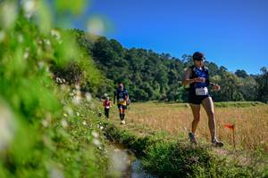 BIB: 
                            <button type="button" onclick="openModal(26580853)" class="btn btn-primary btn-sm float-right btn-popup" data-toggle="modal" data-target=".modal-high-quality">
                        <i class="fas fa-shopping-cart"></i> Add to Cart
                    </button>
                                            <button type="button" onclick="isThisMe(26580853, true)" class="btn btn-success btn-sm float-right btn-popup btn-isme hidden" data-toggle="tooltip" data-placement="bottom" title="นี่คือรูปของคุณใช่ไหม คลิกที่นี่เพื่อเอาเข้าอัลบั้ม">
                        <i class="fas fa-plus"></i> Add to album
                    </button>
                    <button type="button" onclick="isThisMe(26580853, false)" class="btn btn-warning btn-sm float-right btn-popup btn-isnotme hidden">
                        <i class="fas fa-ban"></i> Remove from album
                    </button>